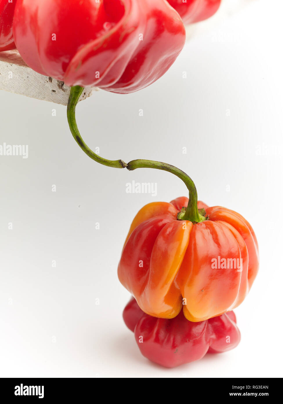 Scotch Bonnet pepe e chiazze di superficie in marmo contro la luce dello sfondo. Fotografia di cibo Foto Stock