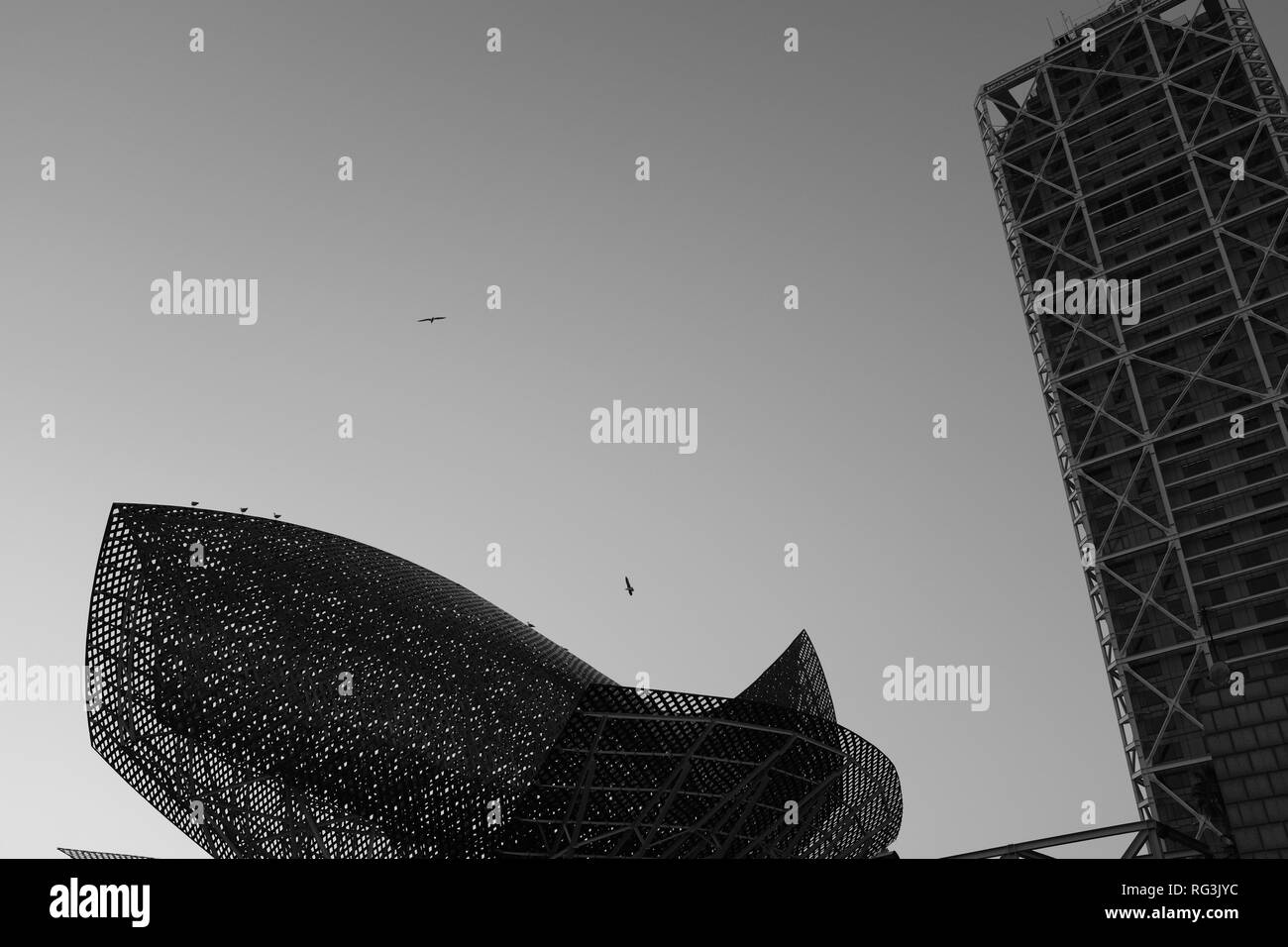 Frank Gehry d'oro di acciaio inossidabile scultura di pesce sul litorale di Barcellona, di fronte Barcellona Spagna Foto Stock