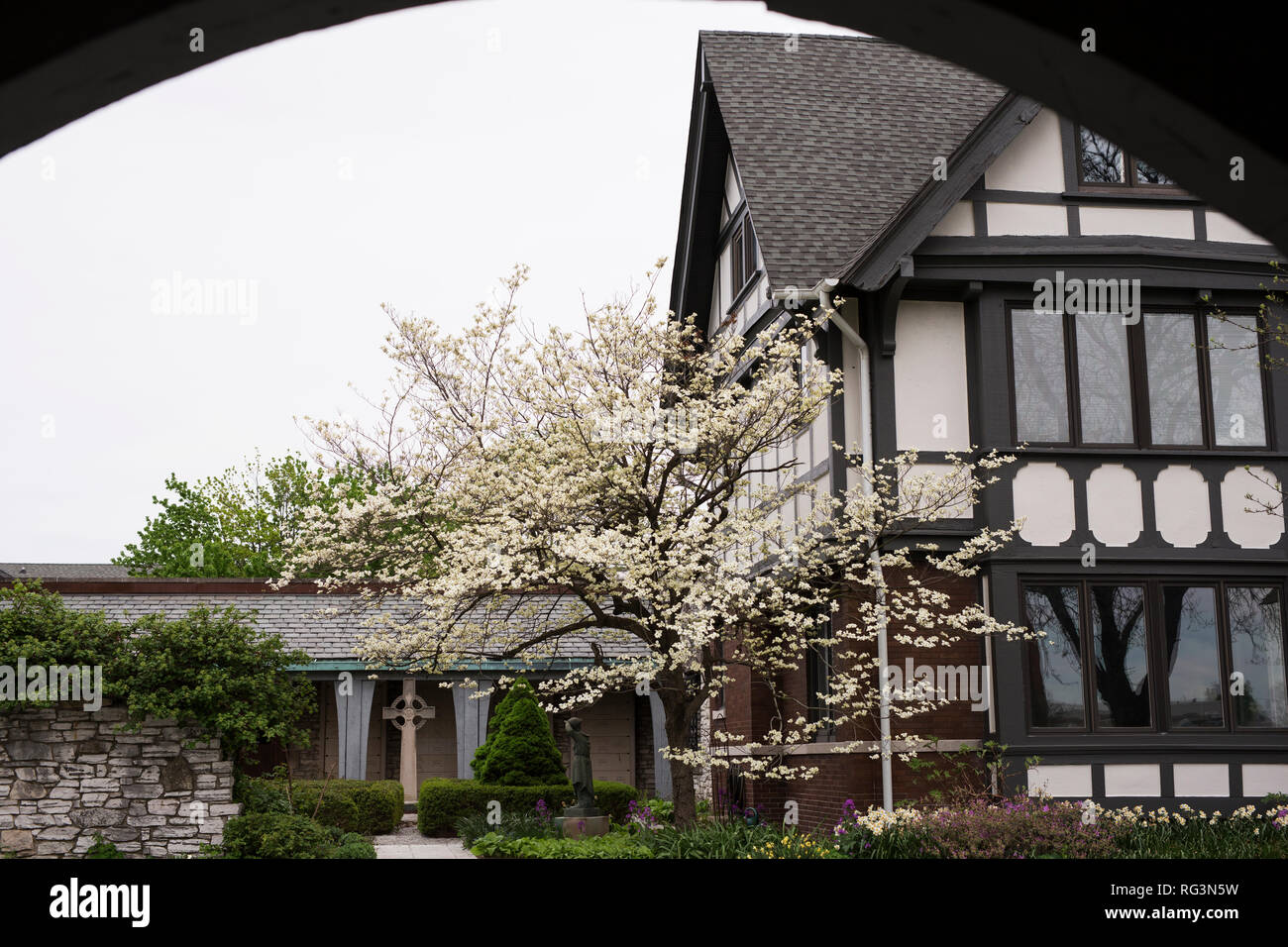 Un sanguinello (Cornus) tree fiorisce in primavera nel cortile della Trinità Chiesa Episcopale in Indianapolis, Indiana, Stati Uniti d'America. Foto Stock