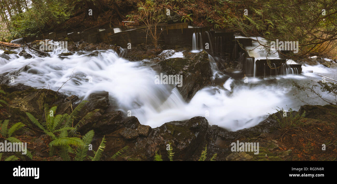 Paesaggi mozzafiato e paesaggi marini del Pacifico Nord Ovest dell isola di Bowen BC Canada vicino a Vancouver City Centre, arte della fotografia. Foto Stock