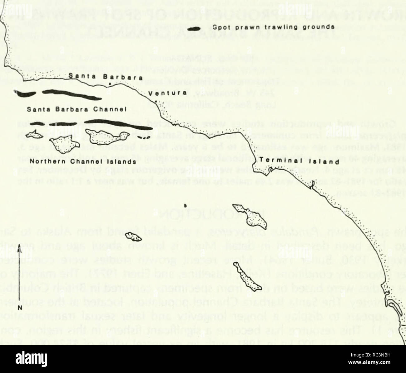 . California a base di pesce e selvaggina. Pesca -- California; gioco e gioco-uccelli -- California; Pesci -- California; popolazione animale gruppi; Pêches; Gibier; Poissons. 84 CALIFORNIA PESCE E venne posto LEQENO la pesca a strascico dei gamberi motivi del Nord Isole del Canale Islend terminale. La figura 1. Ubicazione dei mercati del pesce e delle zone di pesca nel sud della California. La crescita dei risultati la designazione di una data di nascita Luogo di gamberi sono noti per deporre le uova in autunno e incubare le uova fino al tardo inverno. Poiché la maggior parte delle donne che hanno versato le loro uova in aprile e cova ha molto probabilmente si è verificato, 1 aprile è stata designata come Foto Stock