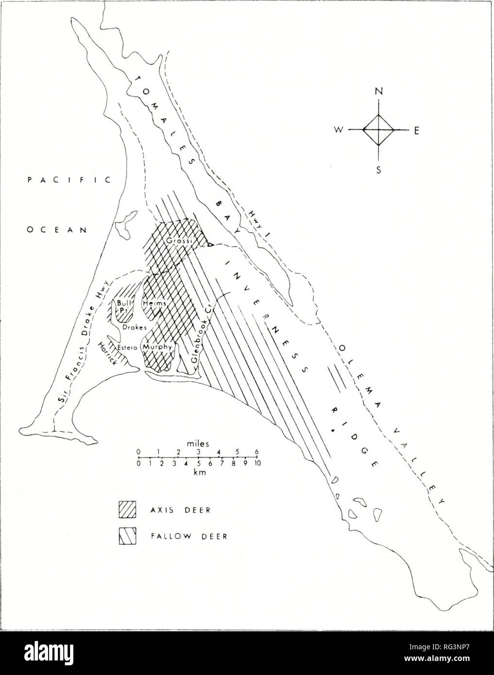 . California a base di pesce e selvaggina. Pesca -- California; gioco e gioco-uccelli -- California; Pesci -- California; popolazione animale gruppi; Pêches; Gibier; Poissons. Esotiche popolazioni di cervo al punto REYES 133. La figura 1. Gli intervalli di daini e cervi asse su Point Reyes National Seashore. Il pascolo di bestiame si verifica nella parte occidentale e la parte settentrionale del National Seashore; il suo confine orientale coincide con quella dell'asse deer gamma. I nomi di località fare riferimento alla famiglia nomi associati con i ranch. La precipitazione si verifica anche in forma di nebbia di avvezione, in particolare in estate. Questa nebbia, nonché fr Foto Stock