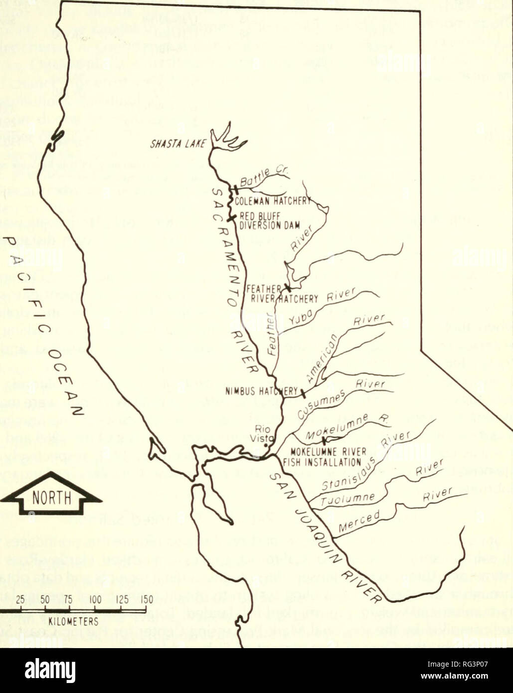 . California a base di pesce e selvaggina. Pesca -- California; gioco e gioco-uccelli -- California; Pesci -- California; popolazione animale gruppi; Pêches; Gibier; Poissons. FALL-RUN Salmone Chinook rilasciare 241. 25 50 75 100 125 150 chilometri di figura 1. Sacramento-San Joaquin River Sistema, mostrando contrassegnato salmone siti di rilascio e fresco- acqua aree di recupero. Marcatura e rilascio di Studio Pesci Durante il 1969, 1971 e 1972 abbiamo rilasciato 266,790 contrassegnato salnnon: 136,545 in giù il fiume in corrispondenza o in prossimità del fiume piuma incubatoio, e 130,245 in del fiume Sacramento a Bryant Marina, vicino Rio Vista (Figura 1, tabella 1). Foto Stock