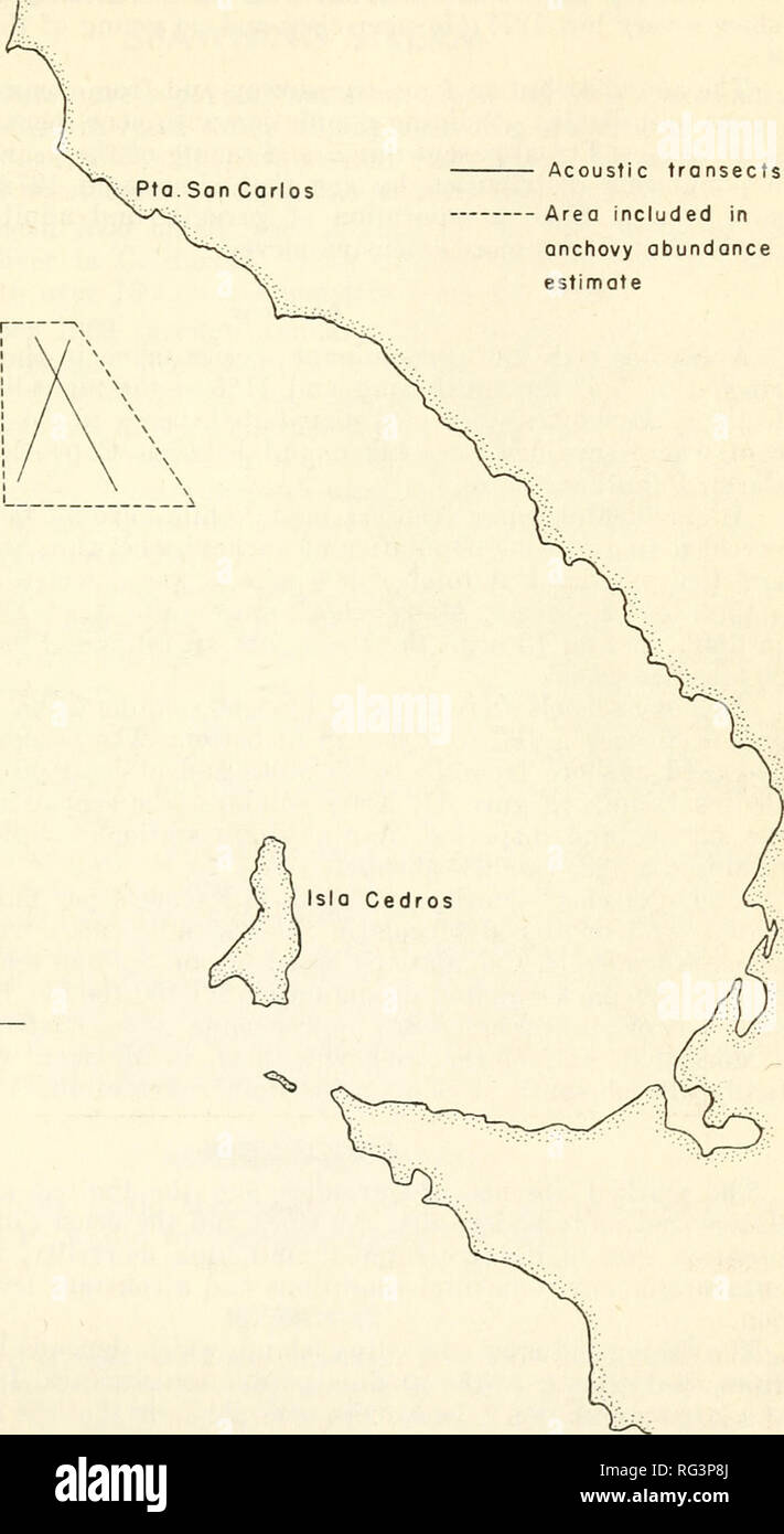 . California a base di pesce e selvaggina. Pesca -- California; gioco e gioco-uccelli -- California; Pesci -- California; popolazione animale gruppi; Pêches; Gibier; Poissons. VIZCAINO BAY PER LE SARDINE E LE ACCIUGHE 203 Sardine sono state prese in tlic midwatcr reti da traino a due stazioni vicino a Santo Domingo e una stazione appena ad ovest del punto Rompiente. Solo due di notte le stazioni di luce prodotta sardine, entrambi situati nei pressi di Santo do- mingo. Pta.San Corlos Acoustic seca Area compresa in abbondanza di acciughe stima 116° 28'. La figura 4. Area compresa in abbondanza di acciughe stime.. Si prega di notare che queste immagini vengono estratte f Foto Stock