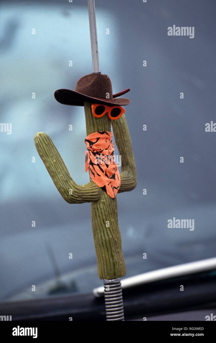 Stati Uniti d'America, Stati Uniti d'America, Arizona:antenna auto con  design di cactus giocattolo Foto stock - Alamy