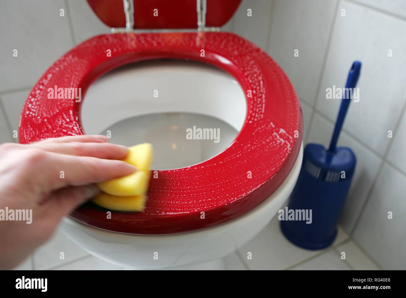 DEU, Germania : addetti alle pulizie hanno in una casa privata/appartamento. La pulizia del bagno. Wc, WC. Foto Stock