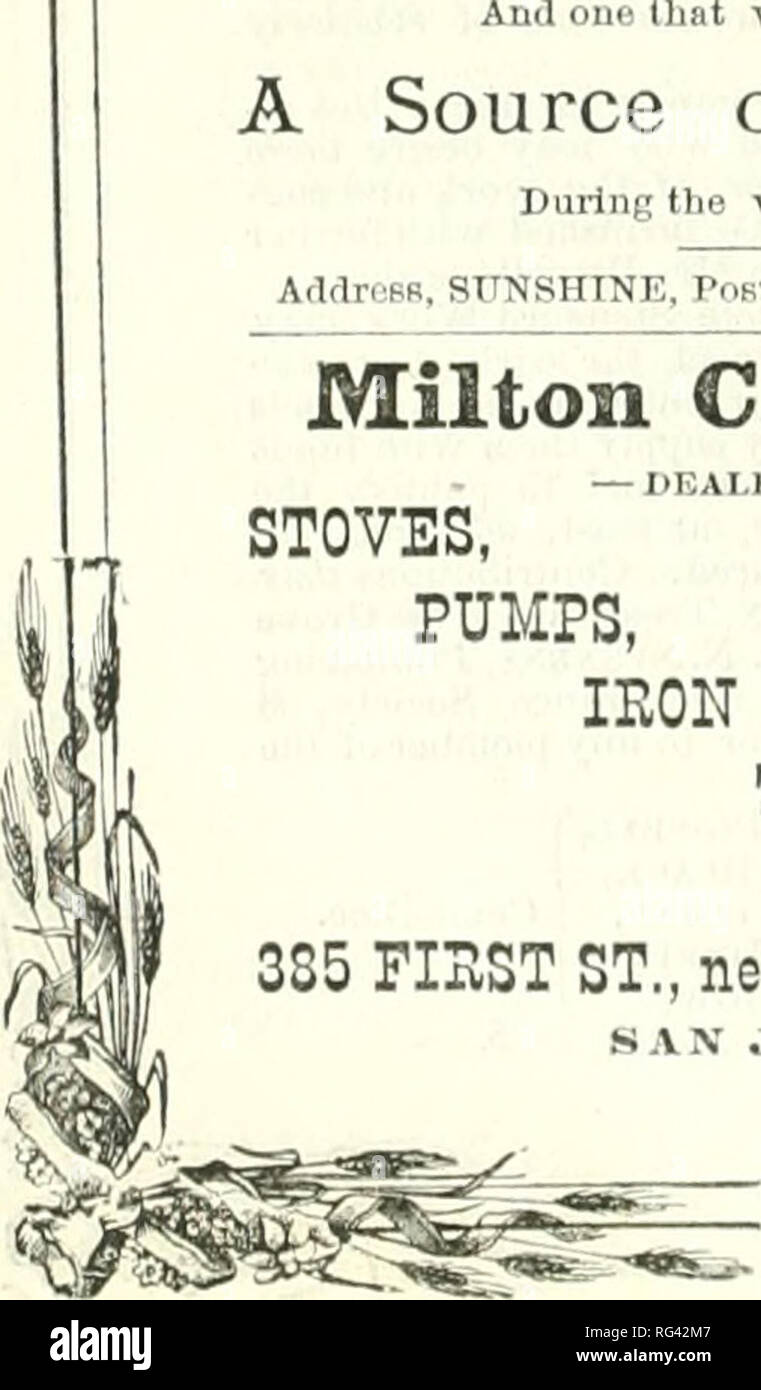 Meadow Mix Affare Fiori Di Inglese 40 G Ingrosso Solo I Fiori Fiore Selvatico Semi Piante Da Frutto