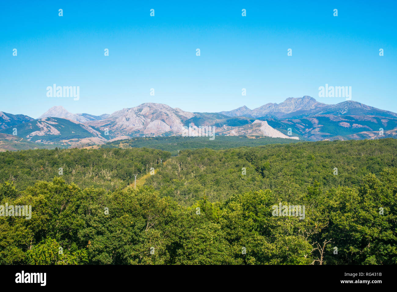 Paesaggio. Fuentes Carrionas y Fuente Cobre Riserva Naturale, provincia di Palencia, Castilla Leon, Spagna. Foto Stock