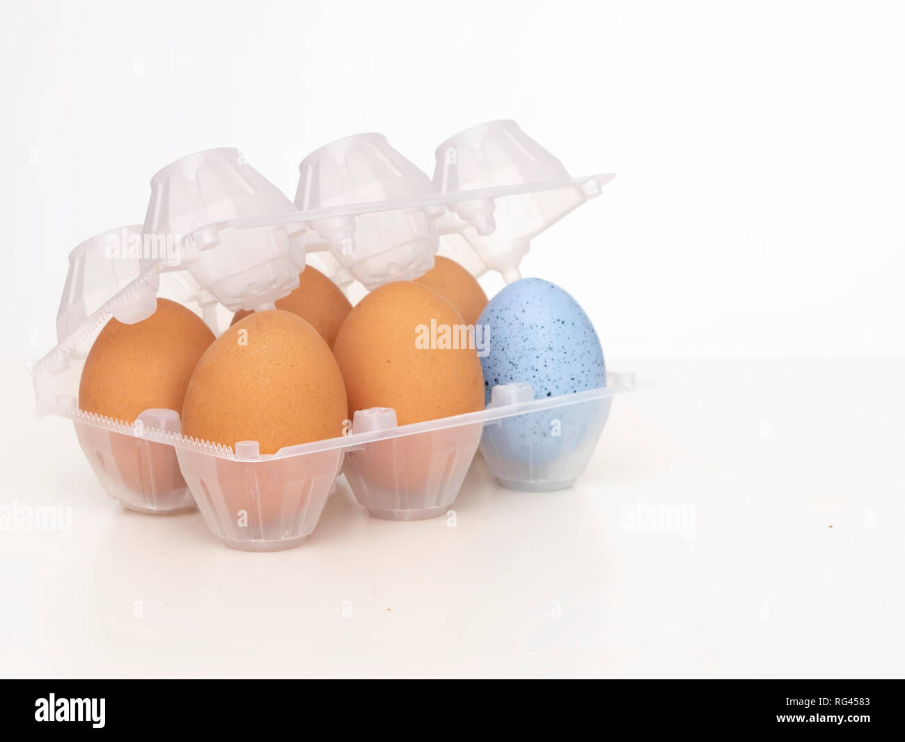 Individualità, unicità, differenza o il concetto di diversità. Un bel blu uovo in plastica con eggbox normale marroni. Su sfondo bianco. Foto Stock