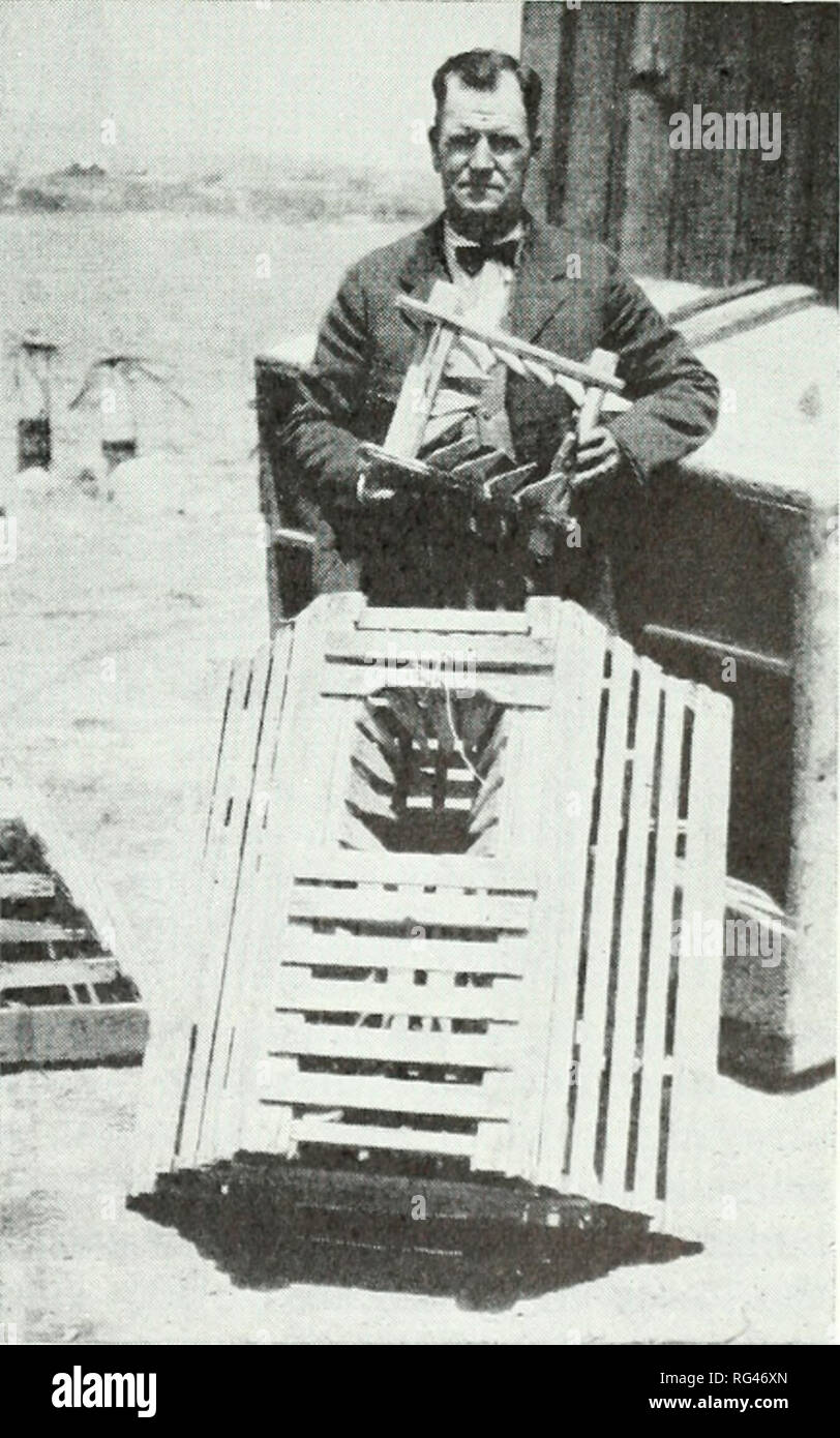 . California a base di pesce e selvaggina. Pesca -- California; gioco e gioco-uccelli -- California; Pesci -- California; popolazione animale gruppi; Pêches; Gibier; Poissons. CALIFORNIA a base di pesce e selvaggina 185 un contorno DI ATTREZZI DA PESCA' Bjl AV. Ti. SCOFIELD per lo Stato della California Lahordlori pesca/ Divisione di pesce e di selvaggina un visitatore nuovo in California è spesso confuso da molti tipi di attrezzi utilizzati per la pesca oceanica lungo onr costa. Non solo vi è una varietà di dispositivi di pesca stesse ma non vi è una tale diversità nei nomi che il nuovo arrivato è portato a credere che non vi è più la complessità di agire- ually esistente. La Foto Stock
