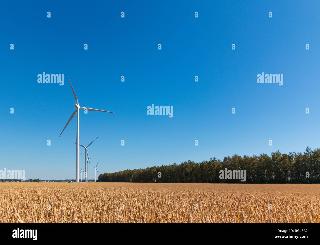 Turbina a vento - Mulino a vento generano energia sostenibile Foto Stock