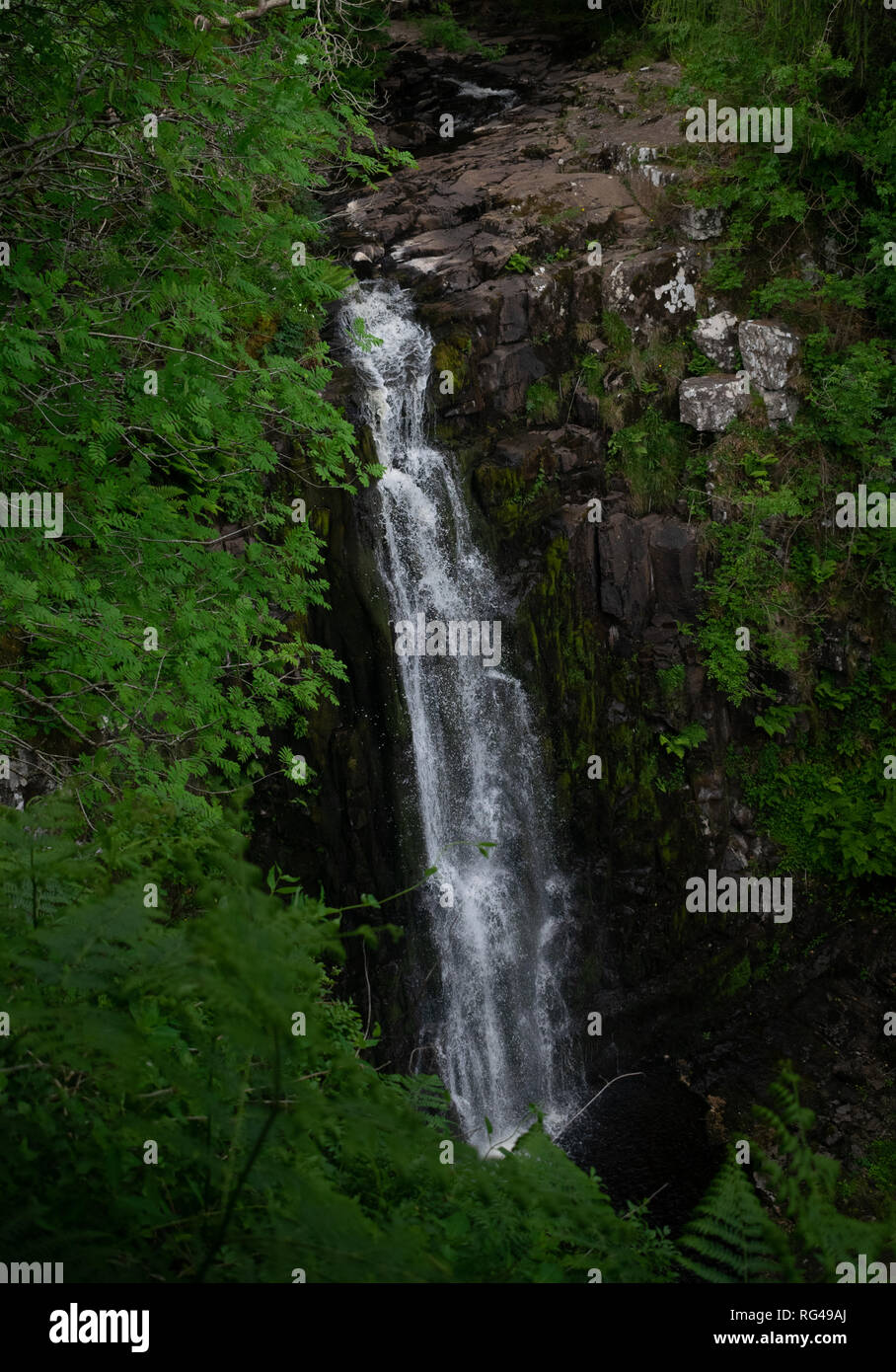 Lascia raggiungere fuori per agguantare una cascata Foto Stock