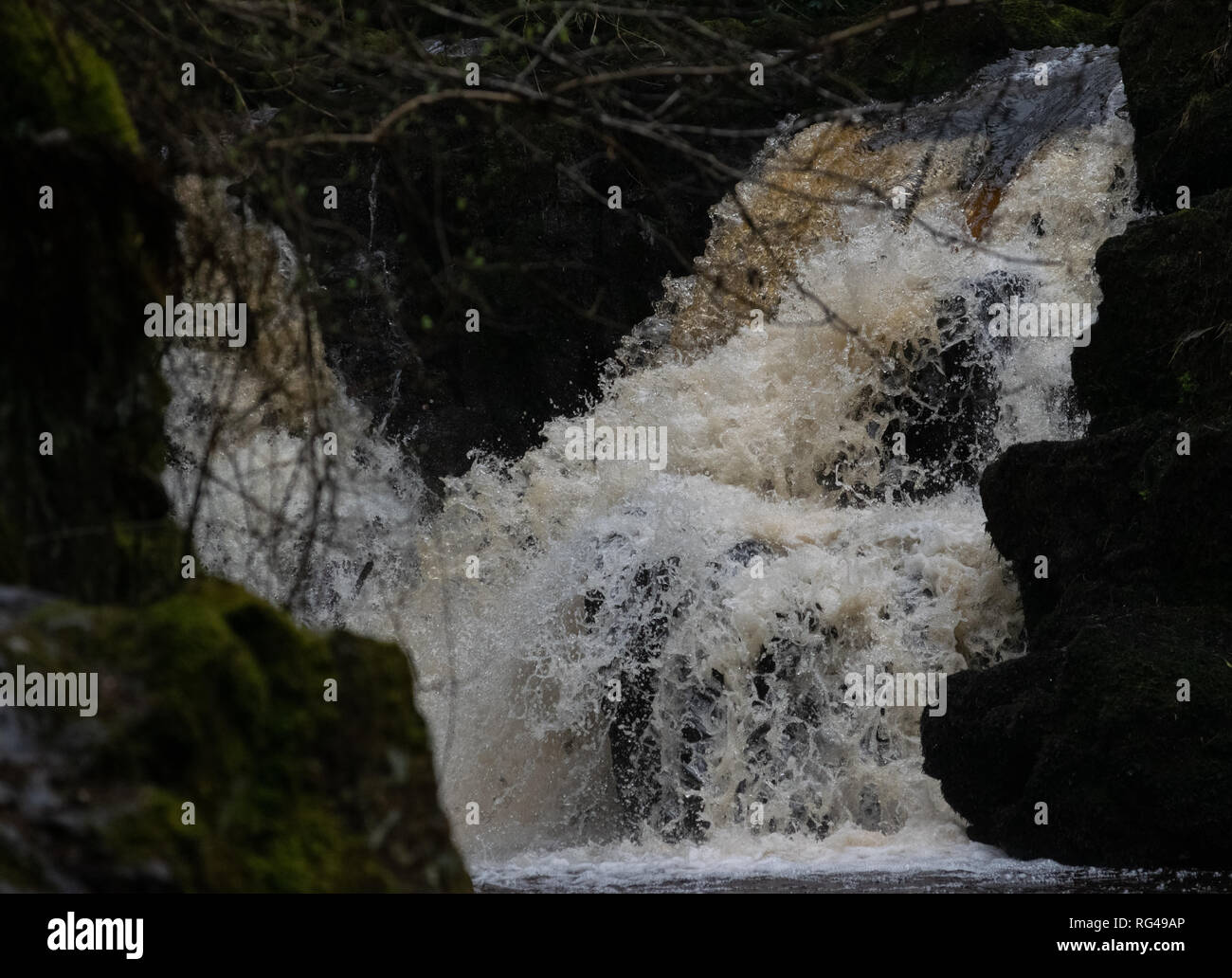 Cascata nascosta in una foresta Foto Stock