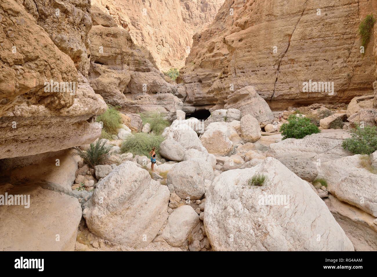 Wadi Fusc valley è una delle più incredibili in Oman Foto Stock