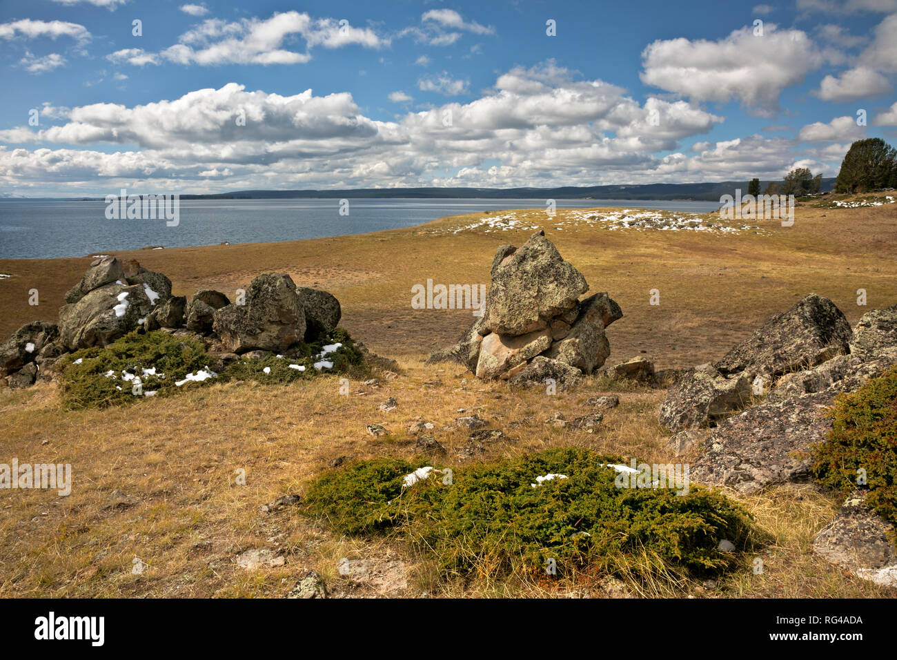 WY02986-00...WYOMING - Rocce nel prato che si affaccia sul Lago Yellowstone vicino punto di tempesta nel Parco Nazionale di Yellowstone. Foto Stock