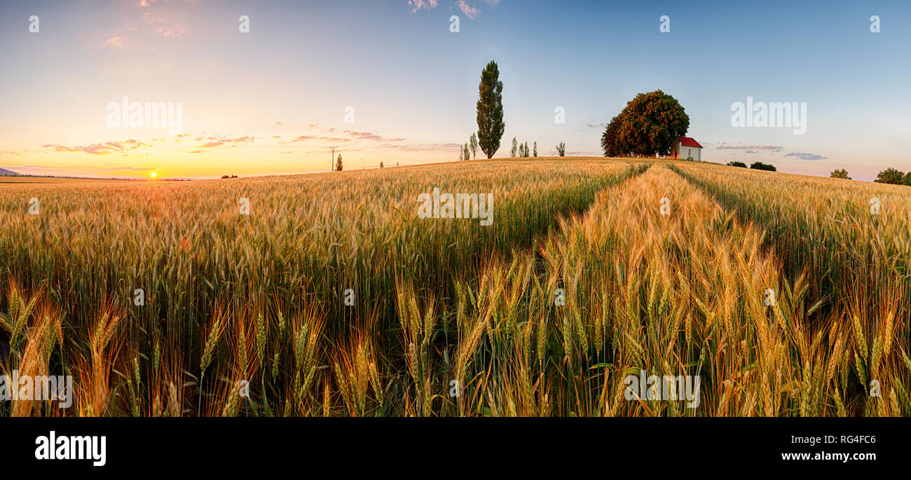 Tramonto su campo di grano con il percorso e la cappella in Slovacchia - panorama Foto Stock