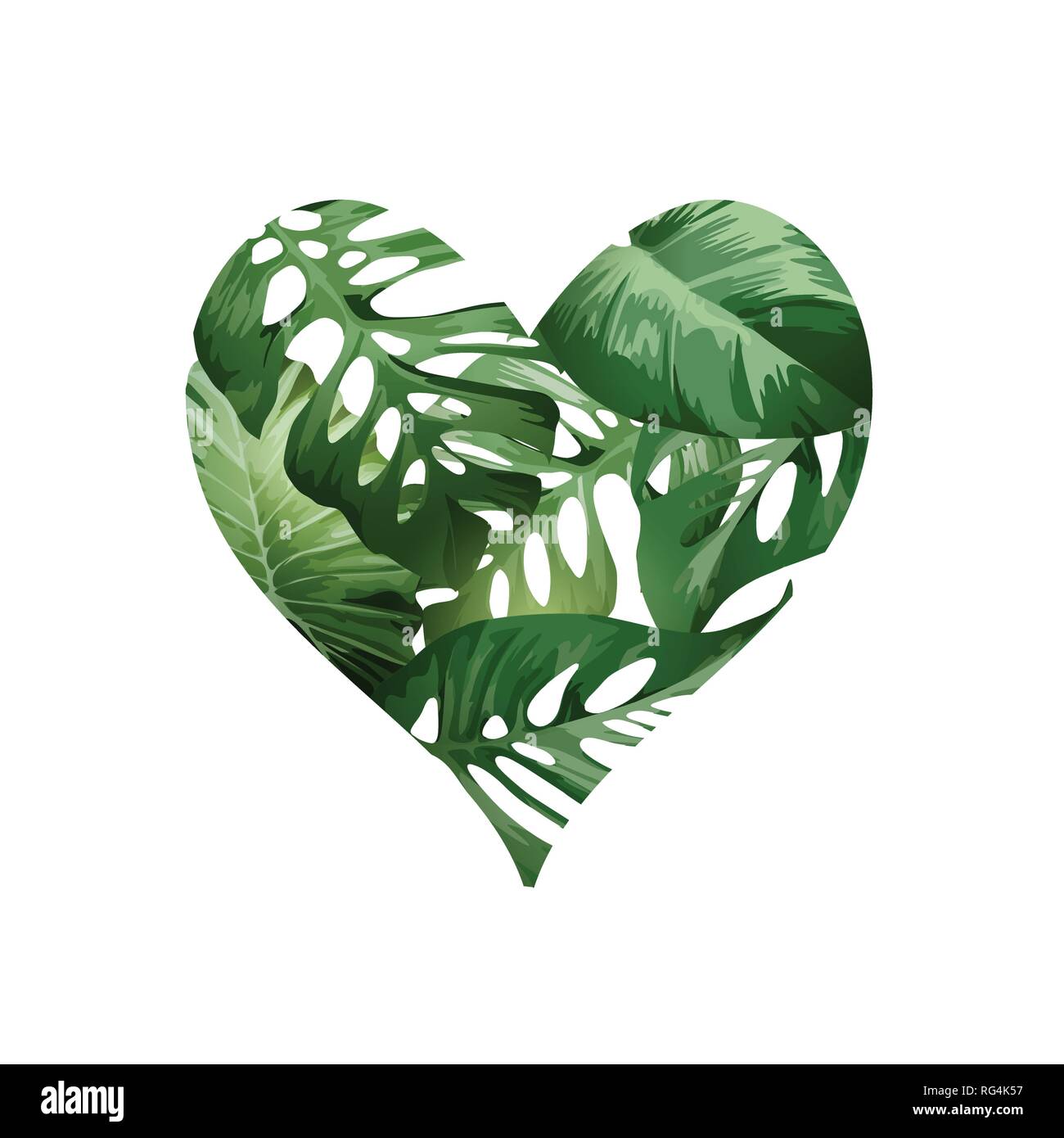 Un cuore verde il concetto di amore fatto da verde tropicale palm le foglie di piante. Illustrazione Vettoriale. Illustrazione Vettoriale
