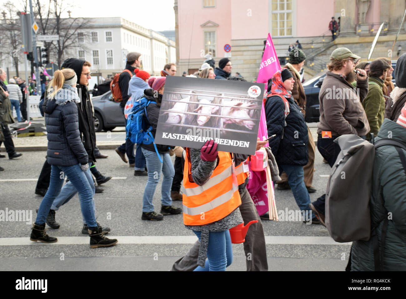 Migliaia di manifestanti, sostenuta da un corteo di trattori agricoli, hanno marciato a Berlino per la tutela ambientale e contro le macchine per l'agricol industriale Foto Stock