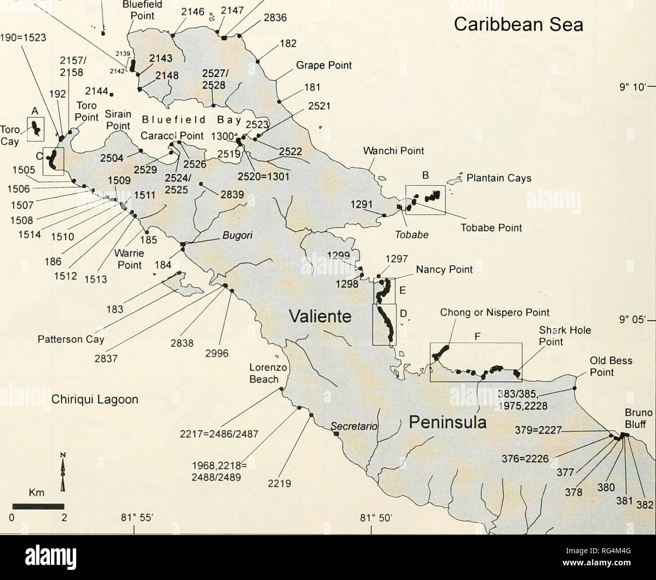 . Bollettini di American paleontologia. 290 Bollettino 357 Mappa 5 2139/2142 2145 190=1523 Cusapin Mar dei Caraibi ^ Piantaggine Cays punto Tobabe Patterson Cay 2837 Chiriqui Lagoon Foro Shark Punto 9° 10'-. 9° 05- Vecchia Bess punto Bruno Bluff 1968,221 2488/2489 81° 55'. Si prega di notare che queste immagini vengono estratte dalla pagina sottoposta a scansione di immagini che possono essere state migliorate digitalmente per la leggibilità - Colorazione e aspetto di queste illustrazioni potrebbero non perfettamente assomigliano al lavoro originale. Ricerca paleontologico istituzione (Ithaca, N. Y. ); Columbia University. Ithaca, N. Y. , ricerca paleontologico Ins Foto Stock