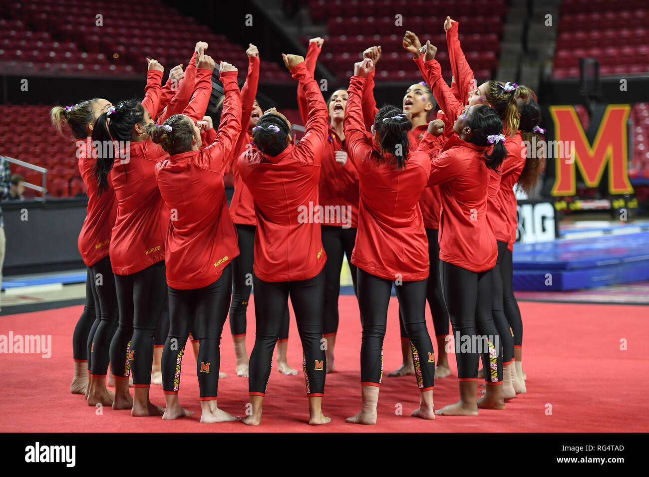 College Park, Maryland, Stati Uniti d'America. 31 Dic, 2015. L'Università del Maryland della squadra di ginnastica cheers prima dell'incontro tenutosi presso il Centro Xfinity in College Park, Maryland. Credito: Amy Sanderson/ZUMA filo/Alamy Live News Foto Stock