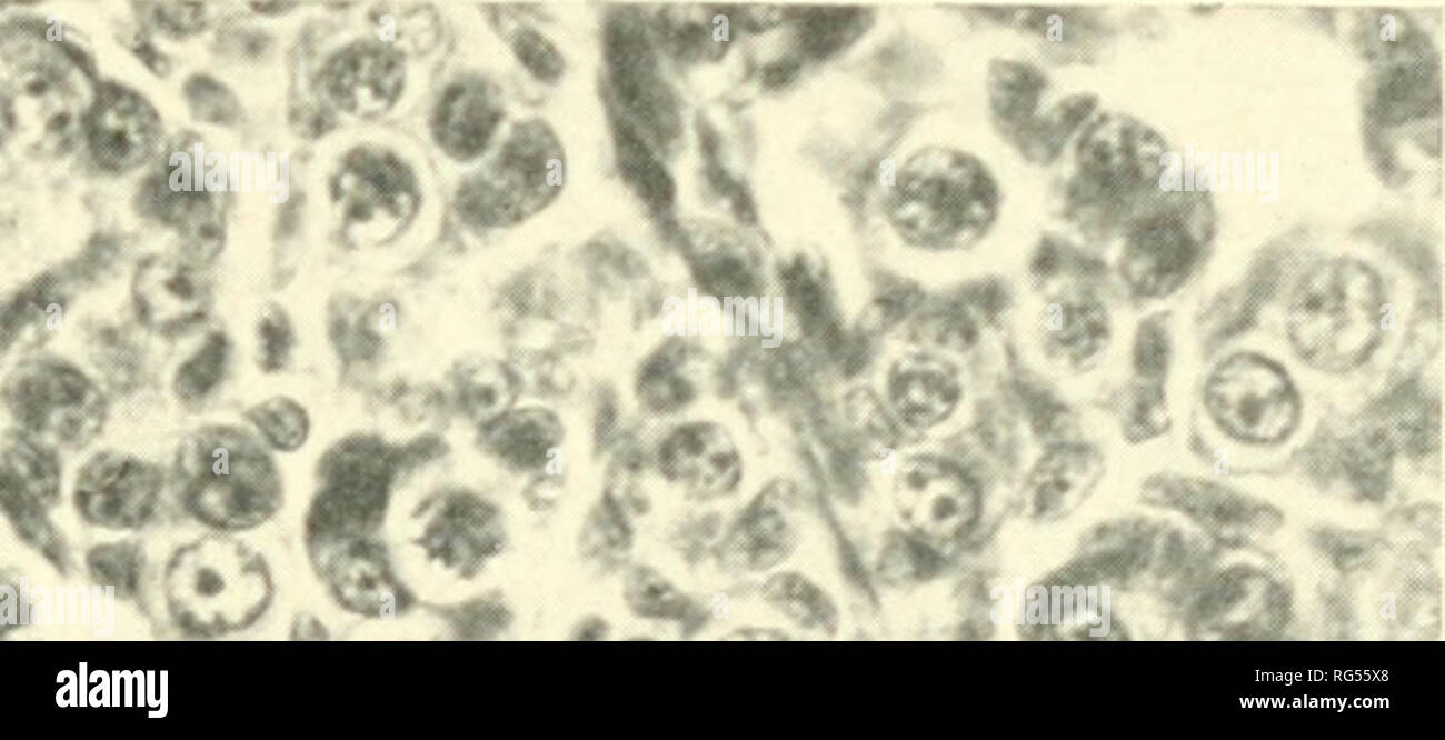 Trova produttori di esche di tonno di alta qualità e fornitori di esche di tonno su Trova produttori di esche di tonno di alta qualità e fornitori di esche di tonno su