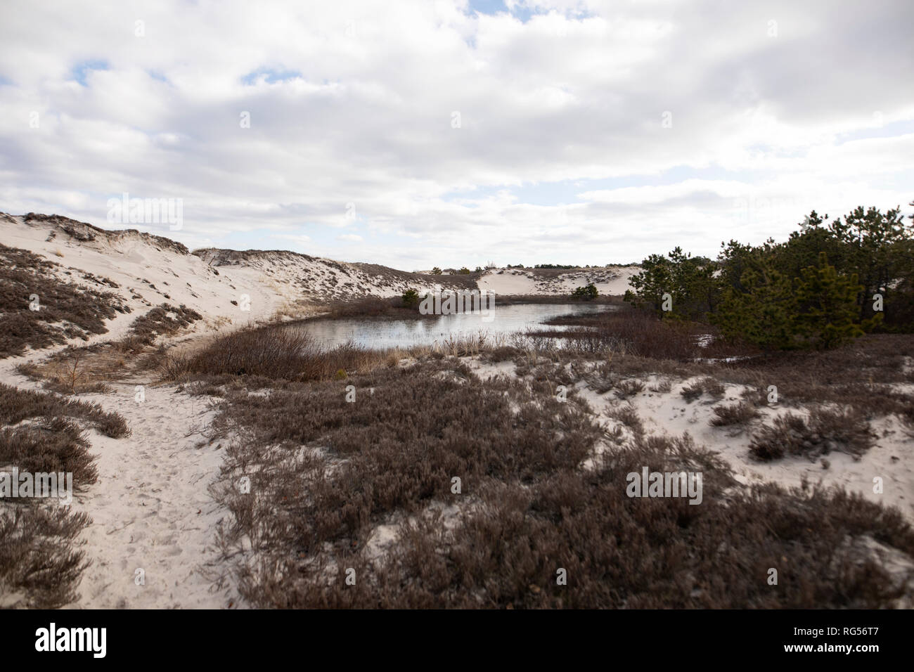 La macchia di erba e inverno alberi circondano una marea congelati piscina dai sentieri sabbiosi alla spiaggia della gru in Ipswich, Massachusetts, STATI UNITI D'AMERICA. Foto Stock