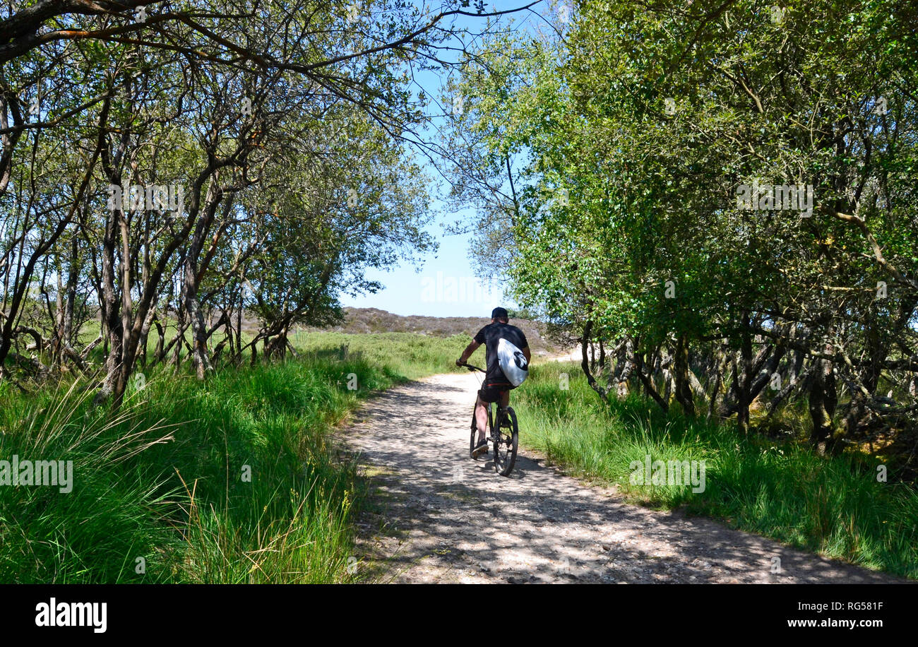 Scenario sul cammino che conduce a Studland Spiaggia naturista a Swanage, Isle of Purbeck, Dorset, England, Regno Unito Foto Stock