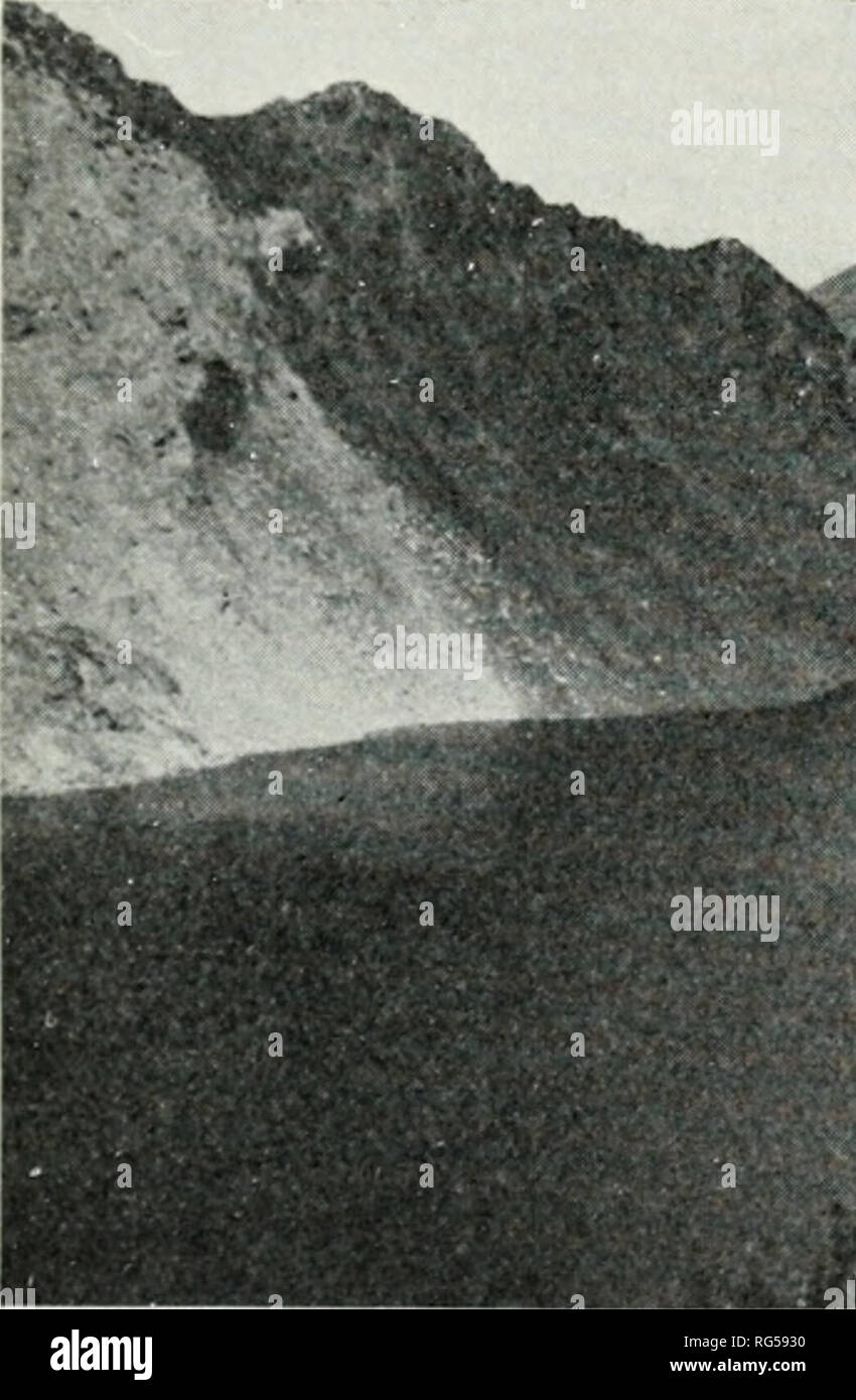 . California a base di pesce e selvaggina. Pesca -- California; gioco e gioco-uccelli -- California; Pesci -- California; popolazione animale gruppi; Pêches; Gibier; Poissons. Il trapianto della trota IN CALIFORNIA 23. ol suo iionnal i-aiisT". tor vi iire sti-eiiius nel Ai'apalio Xatioiial foresta di Colorado in wliicli tliese esotiche liave spiazzava specie native di cut-gola di trote. Locli trota Ijeven spesso diventano estab- fissate a scapito di othei- sjieeies. Una cantra eari censimento-ied da tlie Tnited membri Forest Service nel Nuovo Messico deiinitcly mostrava che naturalmente generato Loch Foto Stock
