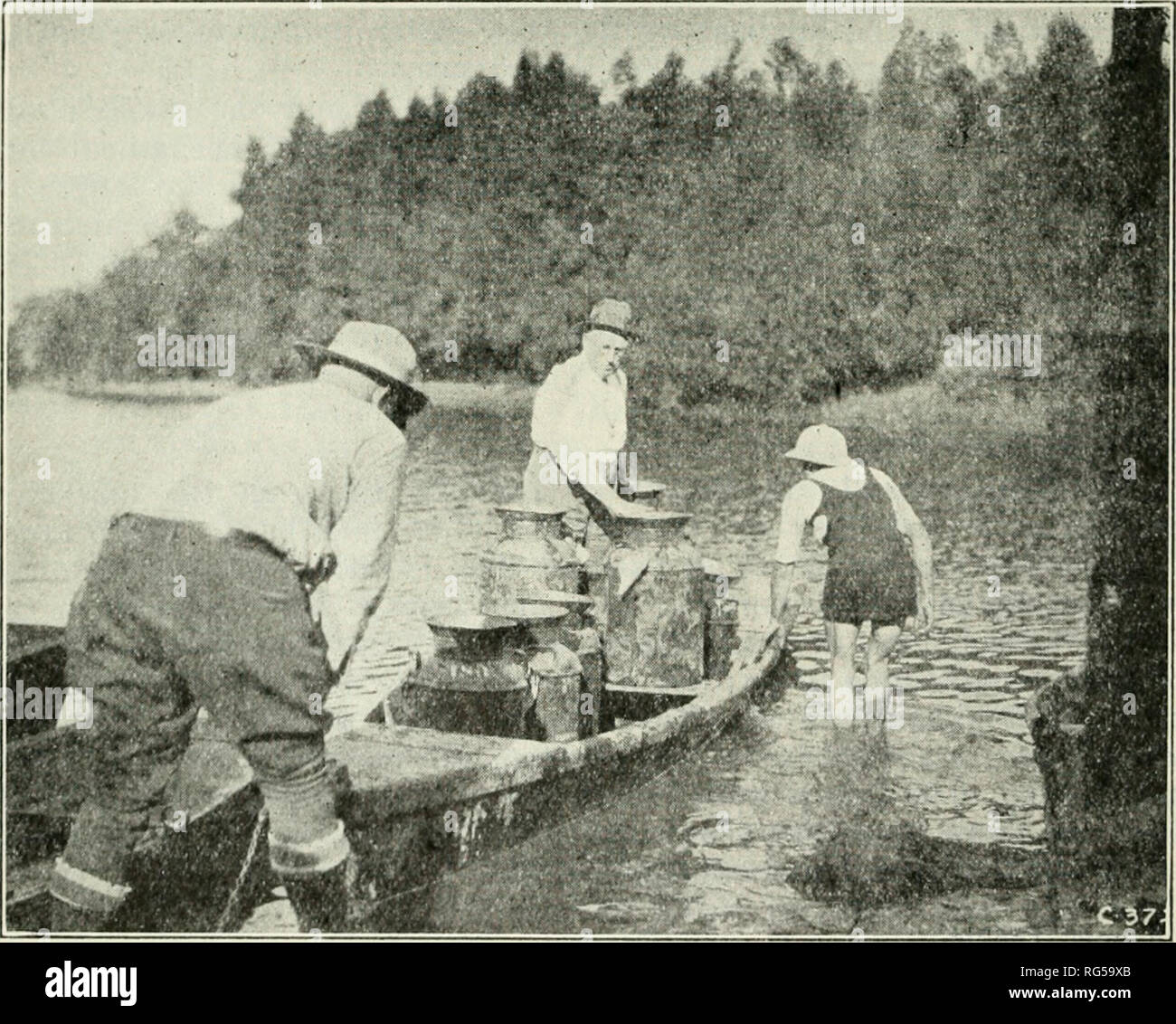 . California a base di pesce e selvaggina. Pesca -- California; gioco e gioco-uccelli -- California; Pesci -- California; popolazione animale gruppi; Pêches; Gibier; Poissons. 296 CALIFORNIA PISH e gioco della trattativa. Abbiamo avuto più divertimento nel dimostrare la nostra affrontare alcuni novizi interessati rispetto a un sacco di viaggi di pesca abbiamo sperimentato. Non vi è alcuna questione ma che cosa il corretto affrontare aggiungerà infinitamente al pescatore di piacere. Luce, aste flessibili, quali sono solo ottenere- in grado attraverso l'uso del bambù spaccati; piccole e ben equilibrato "quad" bobine, senza antibacklash "non-jiggers" e paglierino Foto Stock
