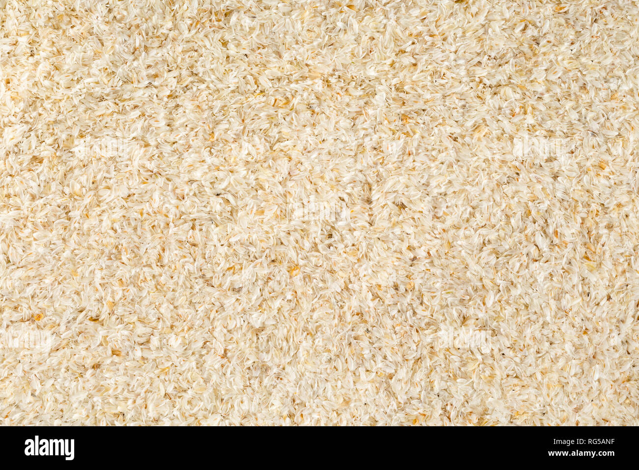 Psillio lolla anche chiamato telaio isabgol riempimento texture di sfondo laici piana dall'alto. Psillio lolla anche chiamato isabgol è in fibra derivata da sé Foto Stock