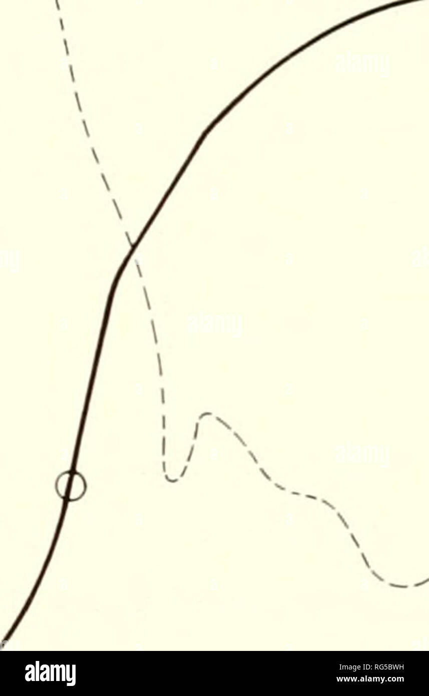 . I tessuti calcificati; procedimento. Osso; Collagene; calcificazione. 400 600 800 °C :urves di prodotto amorfo. 200 Fig. 400 600 800 °C ics di OCP HA III. Conclusioni è formata in due fasi distinte: la formazione del prodotto amorfo hydrolization quindi alla finale HA. TCPH è formata direttamente come mostrato mediante raggi X dif- frazione dei pattern che sono cristallini sin dall'inizio. La sintesi può essere. Si prega di notare che queste immagini vengono estratte dalla pagina sottoposta a scansione di immagini che possono essere state migliorate digitalmente per la leggibilità - Colorazione e aspetto di queste illustrazioni potrebbero non perfettamente resemb Foto Stock