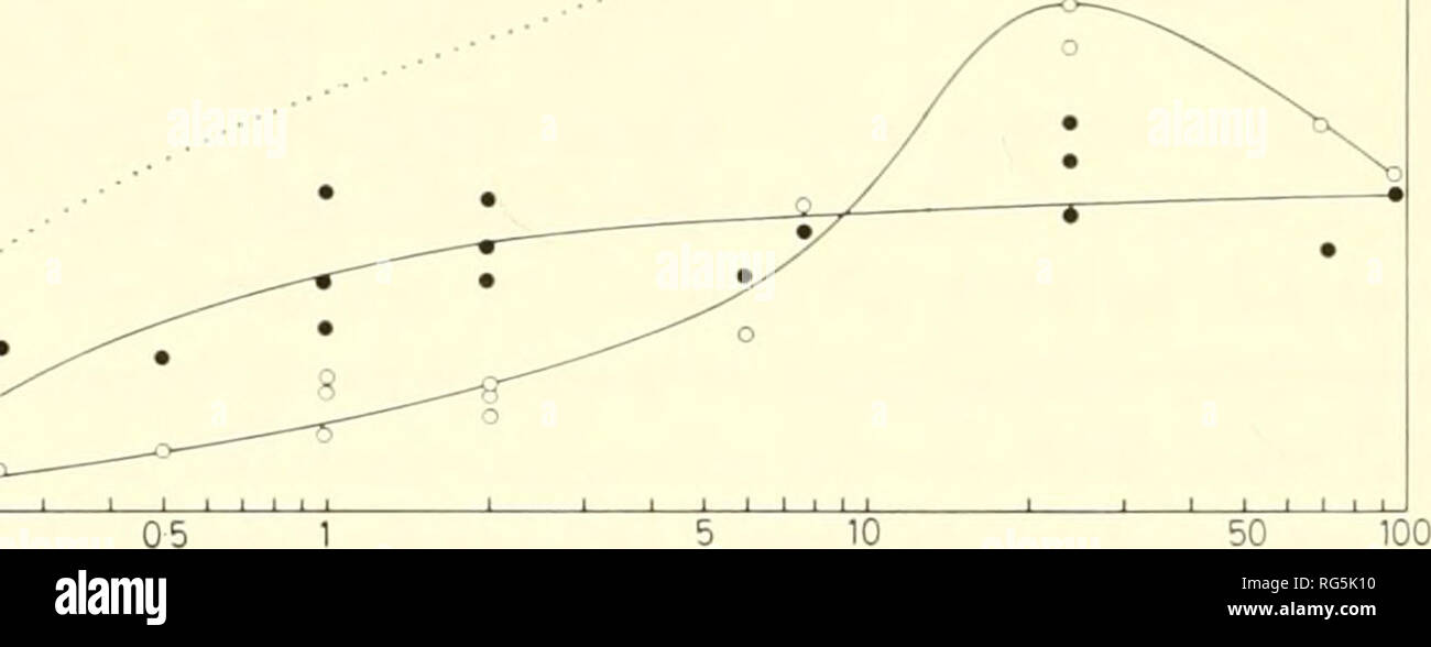 . I tessuti calcificati; procedimento. Osso; Collagene; calcificazione. 38 M. 0(EN risultati vi è stata la marcatura radioattiva generalmente in tutti gli osteoblasti e pre- osteoblasti. Etichettatura dei fibroblasti non era al di sopra dello sfondo nelle autoradiografie studiato. I risultati per i grani per nucleo e grani al citoplasma sono mostrati per gli osteoblasti in Fig. 2 e per preosteoblasts in Fig. 3. I risultati per gli osteoblasti, Fig. 2, mostrano che vi è un primo rapido aspetto di RNA marcato nel nucleo che raggiunge un massimo tra una e due ore dopo l'iniezione e poi rimane approximat Foto Stock