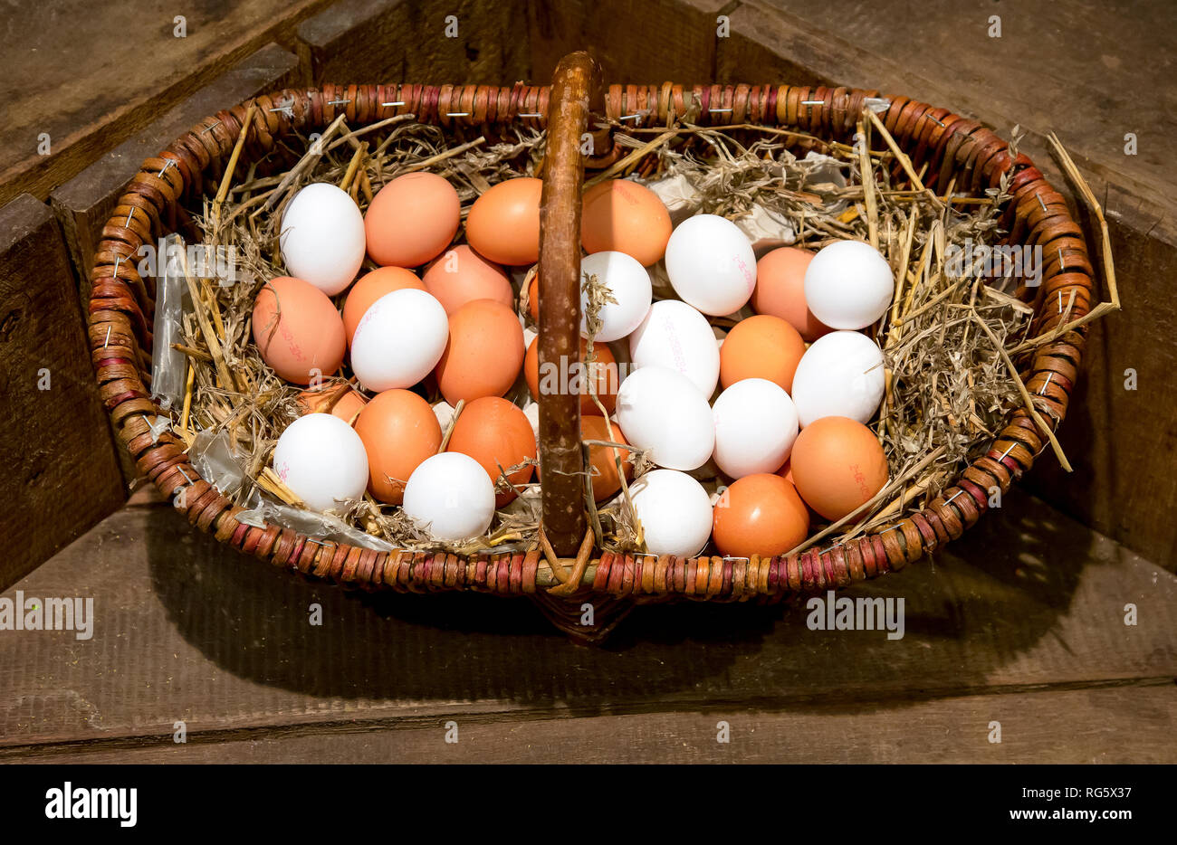 Marrone e bianco uova giacente sulla paglia in un cesto di vimini, farm shop, asparagi farm Schulte-Scherlebeck, Braune und weisse Eier liegen auf Stroh im Weid Foto Stock