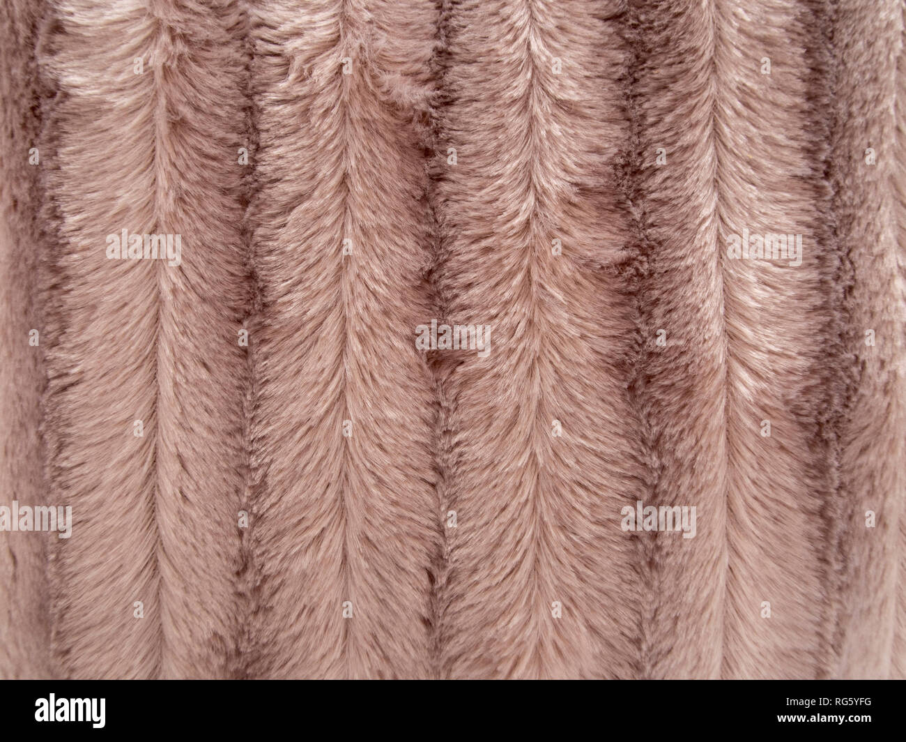 Falso, pelliccia di sfondo soffici, strisce beige. Foto Stock