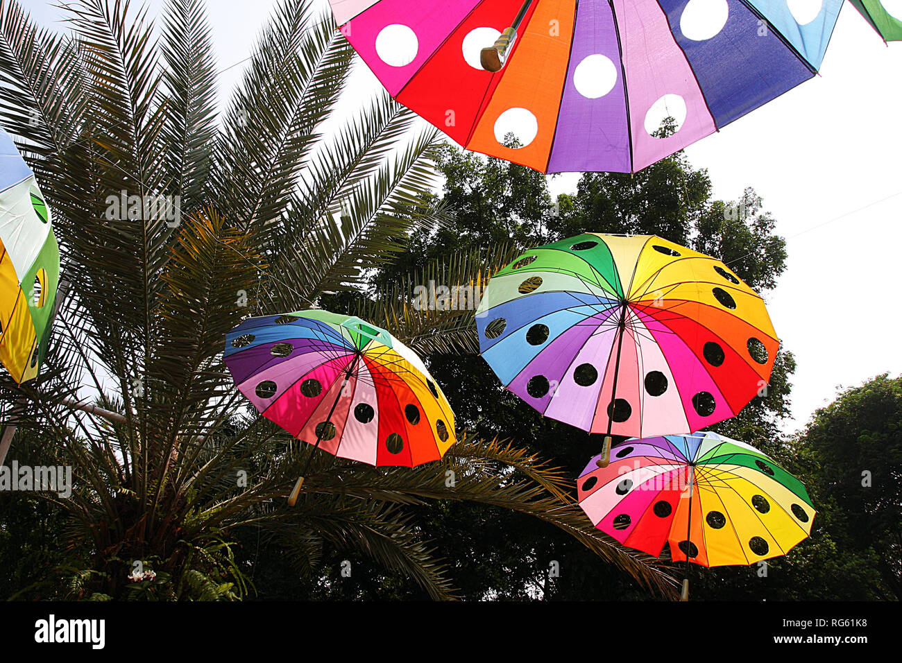 Multi-ombrelloni colorati appesi in un parco, Indonesia Foto Stock