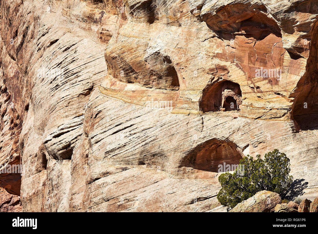 Ancestrale/dei Pueblo Anasazi rovine nel Canyon De Chelly National Monument, Arizona, Stati Uniti d'America Foto Stock