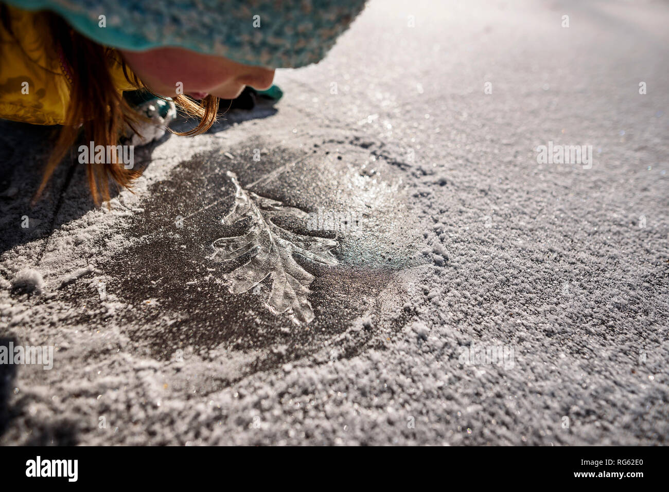 Ragazza guardando un fogliare congelato in stampa il ghiaccio, Stati Uniti Foto Stock