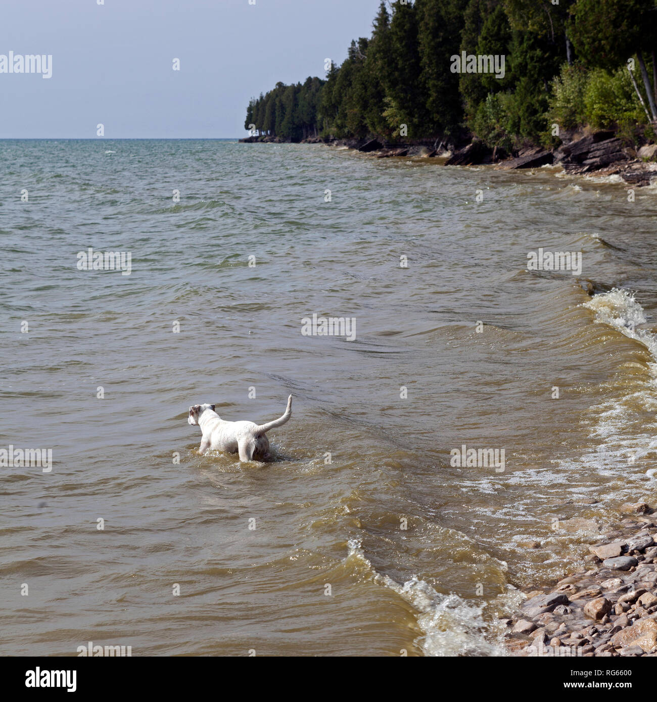 Il lago Michigan è il punto focale per le vacanze in Door County, Wisconsin. Foto Stock