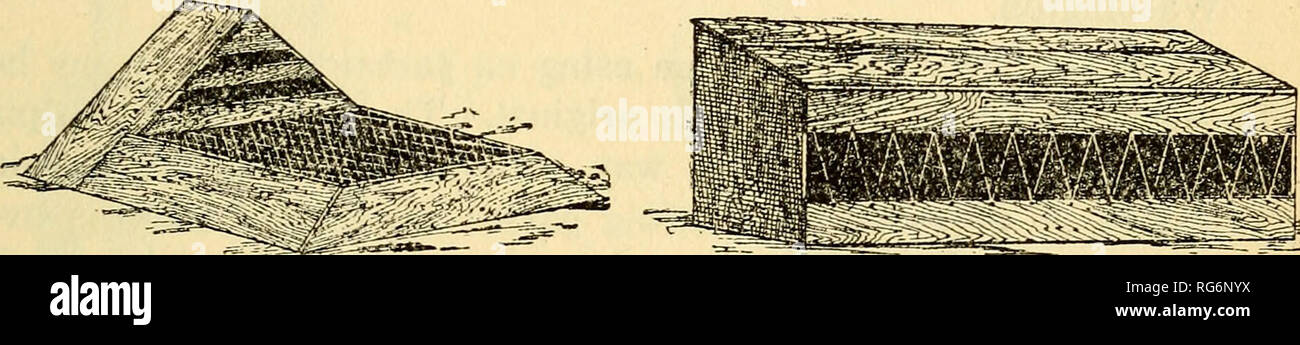 . La gallina di business (l'ultima berlina). Il pollame. Capitolo XVI. In casa i dispositivi di pollame. Qui è un taglio di gallina coop che ho trovato molto conve- nient in pulcini di sollevamento con le galline per tenerli da falchi quando piccola. La gabbia di fronte al comune una coop è fatta di semi-pollice legname e coperto con 1^ pollici pollame netting. Essa è fissata a ciascun lato della gabbia con un chiodo in modo che si adattano facilmente eventuali asperità del terreno. Essendo la luce può essere spostato un poco ogni giorno o due per dare un posto pulito ed erba fresca. La gallina è confinata nella coop e, dopo i pulcini sono abbastanza vecchio, th Foto Stock