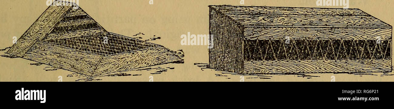 . La gallina di business (l'ultima berlina). Il pollame. Capitolo XVI. In casa i dispositivi di pollame. Qui è un taglio di gallina coop che ho trovato molto conve- nient in pulcini di sollevamento con le galline per tenerli da falchi quando piccola. La gabbia di fronte al comune una coop è fatta di semi-pollice legname e coperto con l&GT;4 pollici pollame netting. Essa è fissata a ciascun lato della gabbia con un chiodo in modo che si adattano facilmente eventuali asperità del terreno. Essendo la luce può essere spostato un poco ogni giorno o due per dare un posto pulito ed erba fresca. La gallina è confinata nella coop e, dopo i pulcini sono abbastanza vecchio Foto Stock