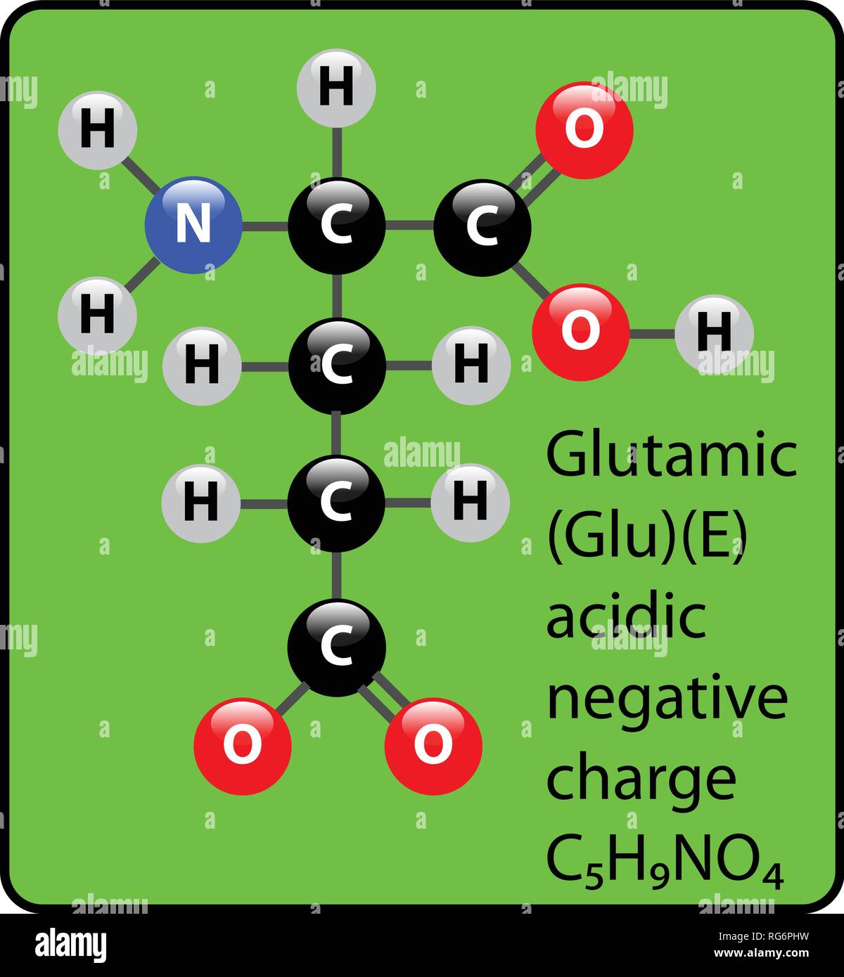 Acido glutammico amminoacido molecola sfera Stick e struttura Illustrazione Vettoriale