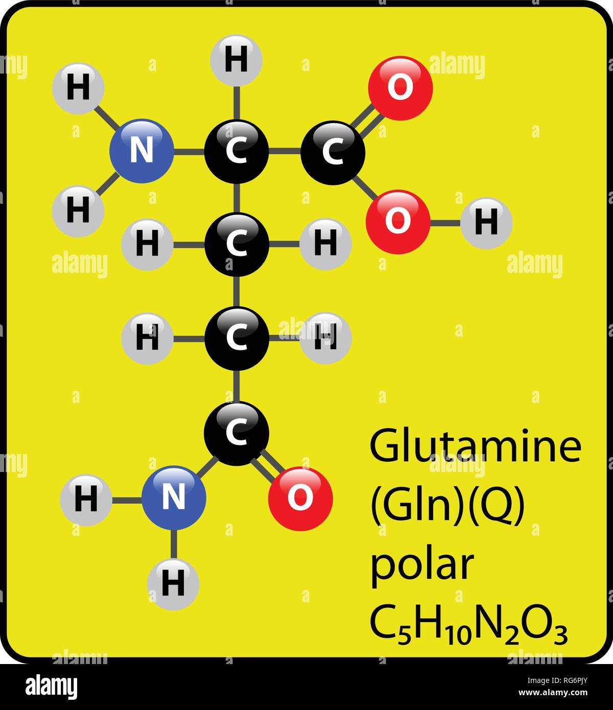 Aminoacido glutammina molecola sfera Stick e struttura Illustrazione Vettoriale