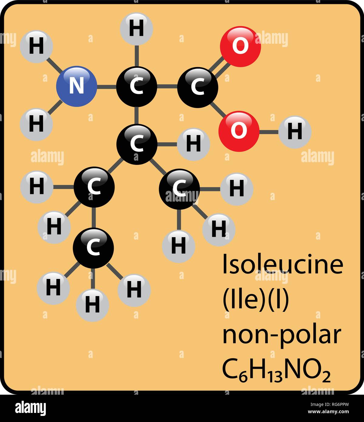 Isoleucina aminoacido molecola sfera Stick e struttura Illustrazione Vettoriale