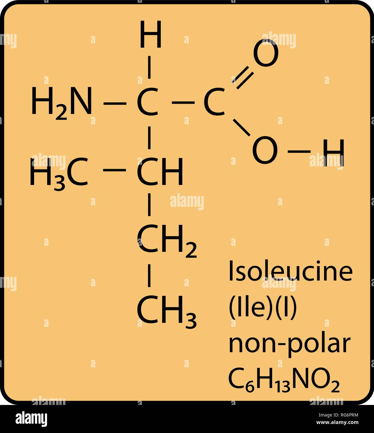 Isoleucina aminoacido molecola struttura scheletrica Illustrazione Vettoriale