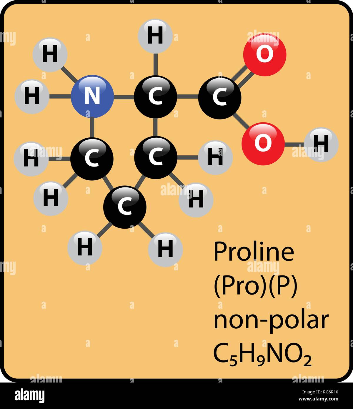 Proline amminoacido molecola sfera Stick e struttura Illustrazione Vettoriale