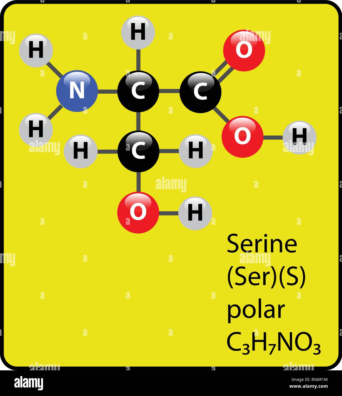 La serina amminoacido molecola sfera Stick e struttura Illustrazione Vettoriale