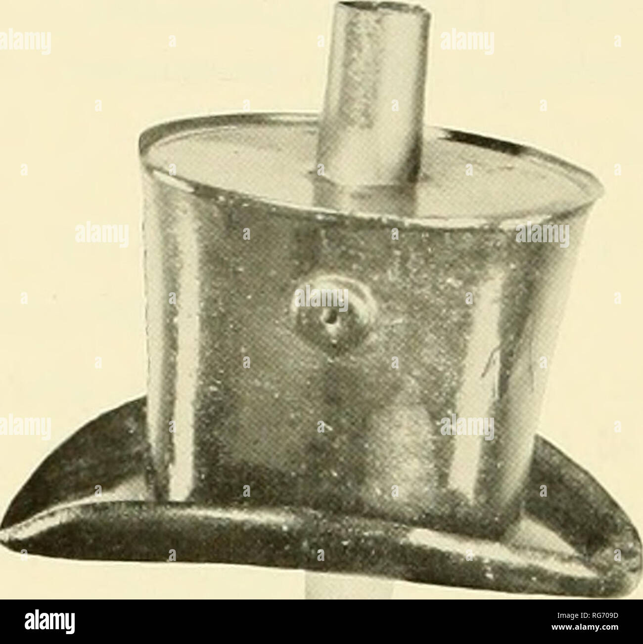 . Bollettino - Stati Uniti Museo Nazionale. La scienza. . Si prega di notare che queste immagini vengono estratte dalla pagina sottoposta a scansione di immagini che possono essere state migliorate digitalmente per la leggibilità - Colorazione e aspetto di queste illustrazioni potrebbero non perfettamente assomigliano al lavoro originale. Stati Uniti Museo Nazionale; Smithsonian Institution; Stati Uniti. Dipartimento dell'Interno. Washington : Smithsonian Institution Press, [ecc. ]; Per la vendita dalla Supt. di Docs. , Brevetto U. S. Govt Stampa. Off. Foto Stock