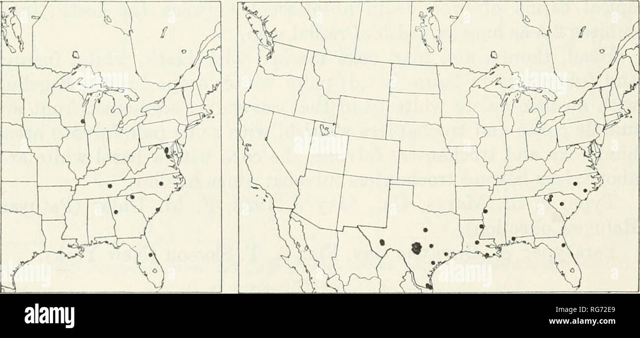 . Bollettino - Stati Uniti Museo Nazionale. La scienza. 388 U. S. MUSEO NAZIONALE BOLLETTINO 216 pabt 3 5. Diapetimorpha rufigasler Cushman figure 332,e,f Diapetimorpha rufigaster Cushman, 1929, Proc. Stati Uniti Nat. Mus., vol. 74, art. 16' p. 33; 9. Errore di battitura: 9, Potomac Creek, Va. (Washington). Voce maschile: parafango anteriore 4,7 a 6.3 mm. lunga; clypeus piuttosto debolmente con- vex; guancia circa 0,65 come lungo come larghezza basale della mandibola; tyloids nella forma di sharp carinae longitudinale, che si verificano su 4 segmenti, nella maggior parte dei casi più corta di segmenti; metapleurum con deboli indis- tinct forature e una rudimentale juxtacoxal ca Foto Stock