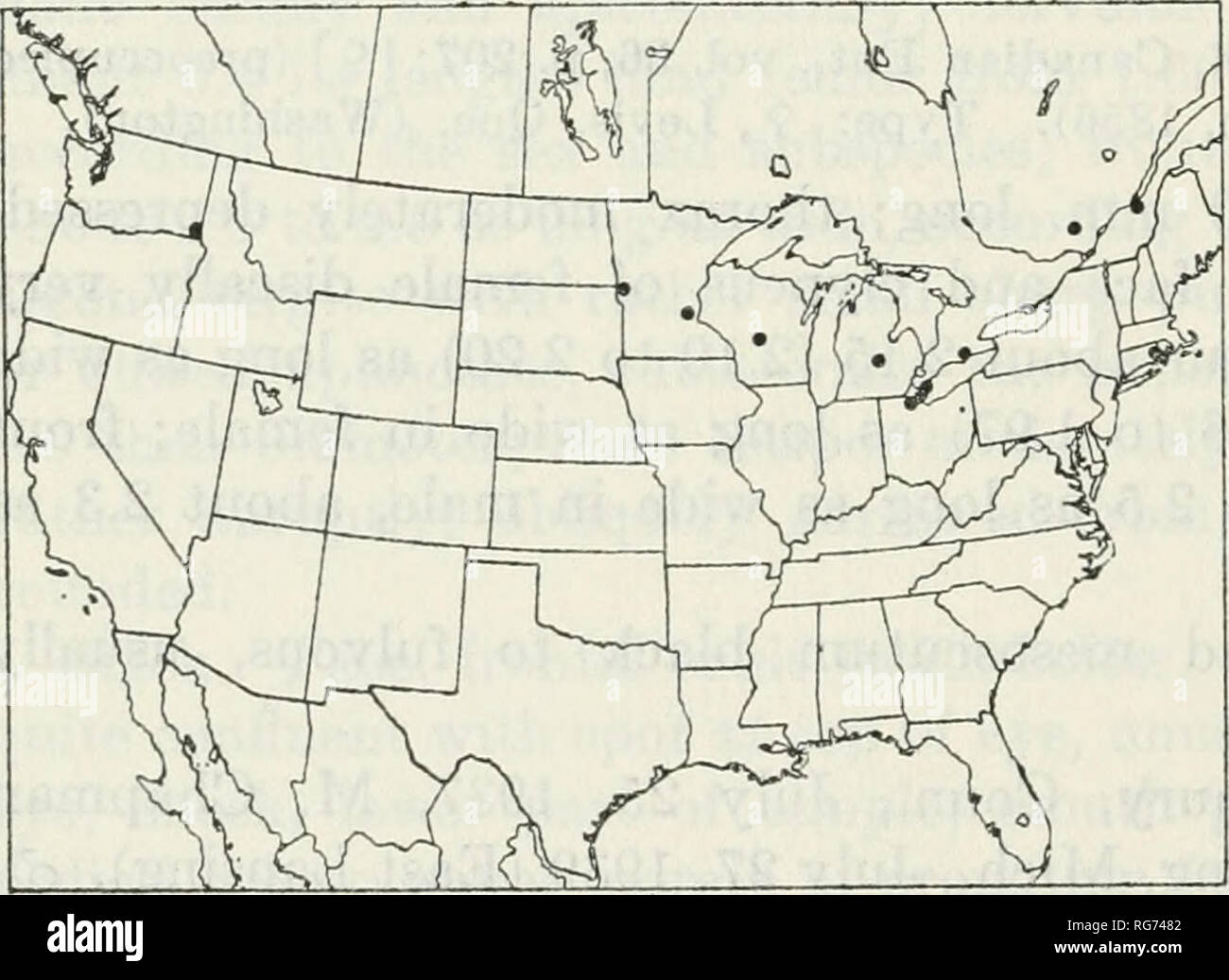 . Bollettino - Stati Uniti Museo Nazionale. La scienza. 248 U. S. MUSEO NAZIONALE BOLLETTINO 216 (St. Paolo), cf, traversa Co., Minn., O. W. Oestlund (St. Paolo). &Amp;, 29, allevati da foglia rullo su sumac (Rhus), Ottawa Co., Ohio, col- seleziona distribuzione Luglio 27, 1943, emerso 19 agosto e 30, 1943, Neal e Gielow (Washington). 9, Ohio, C. H. Kennedy (Washington), CF1, Normandale, Ont., 26 giugno 1939, G. S. Walley (Ottawa). cf, punto Pelée, Ont., 31 maggio 1929, G. S. Walley (Ottawa), cf, Lac Mercier, Que., Agosto 16, 1937, G. S. Walley (Ottawa). 9 (tipo), allevati da Meroptera pravella su sumac (Rhus), Levis, Que Foto Stock