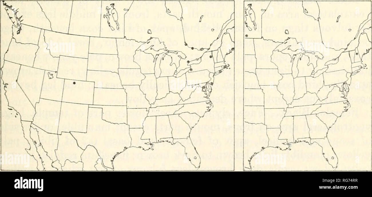 . Bollettino - Stati Uniti Museo Nazionale. La scienza. ICHNEUMON-MOSCHE DI AMERICA: 1. METOPIINAE 57 con circa 36 segmenti nel maschio, con circa 40 segmenti nella femmina; sperone anteriore della tibia medio circa 0,34 come lungo come hind sperone nel maschio, circa 0,48 come lungo come hind sperone nel sesso femminile; secondo segmento del medio tarso circa 2,05 come lungo come ampia nel maschio, circa 1,85 come lungo come ampia nella femmina. Entrambi i sessi colorati come in T. onitis, ad eccezione del fatto che la femmina mandibola è giallo. Tipo: 9, Takoma Park, Md., luglio 17, 1943, H. e M. Townes (Washington 63611 USNM). Paratypes: cf, Pierson, Man., 3 luglio 1927, H. J. Brodie Foto Stock